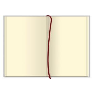 CADERNETA P ONCINHA FINA IDEIA