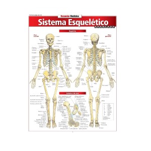 RESUMÃO SISTEMA ESQUELETICO AVANÇADO