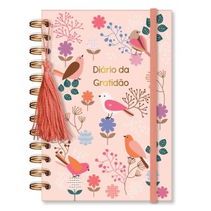 DIÁRIO DA GRATIDÃO LEVE AMOR FINA IDEIA