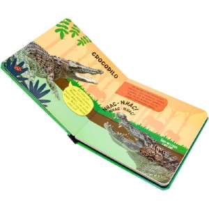 TOQUE, SINTA E ESCUTE! SELVA HAPPY BOOKS